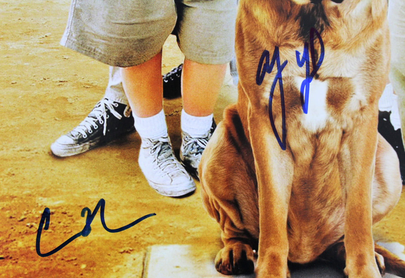 The Sandlot (6) Guiry, Leopardi, Adams +3 Signed 12x18 Photo BAS Witnessed 2