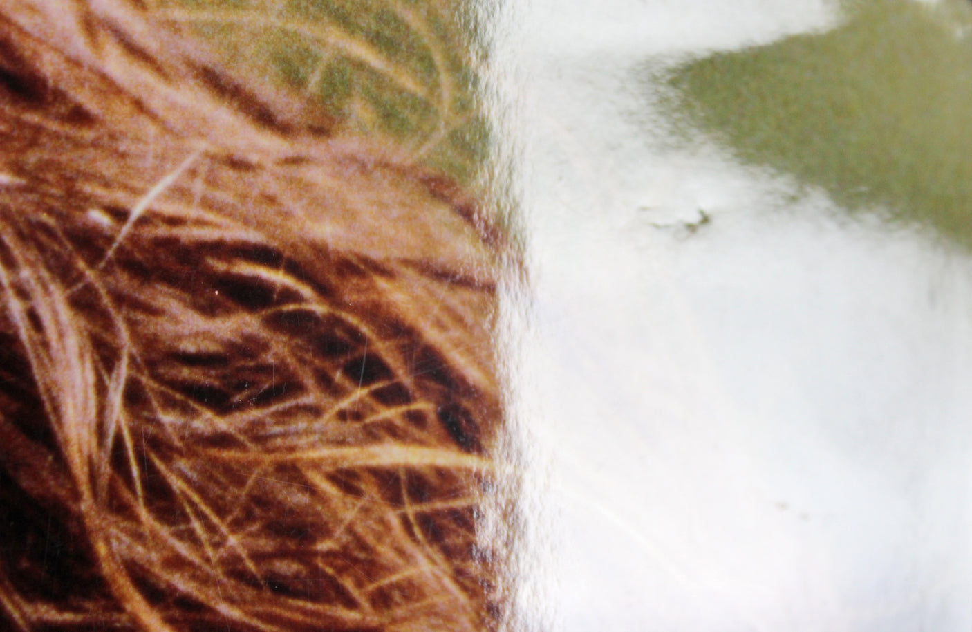 Antonio Banderas Desperado Authentic Signed 16x20 Photo Autographed PSA #J00775