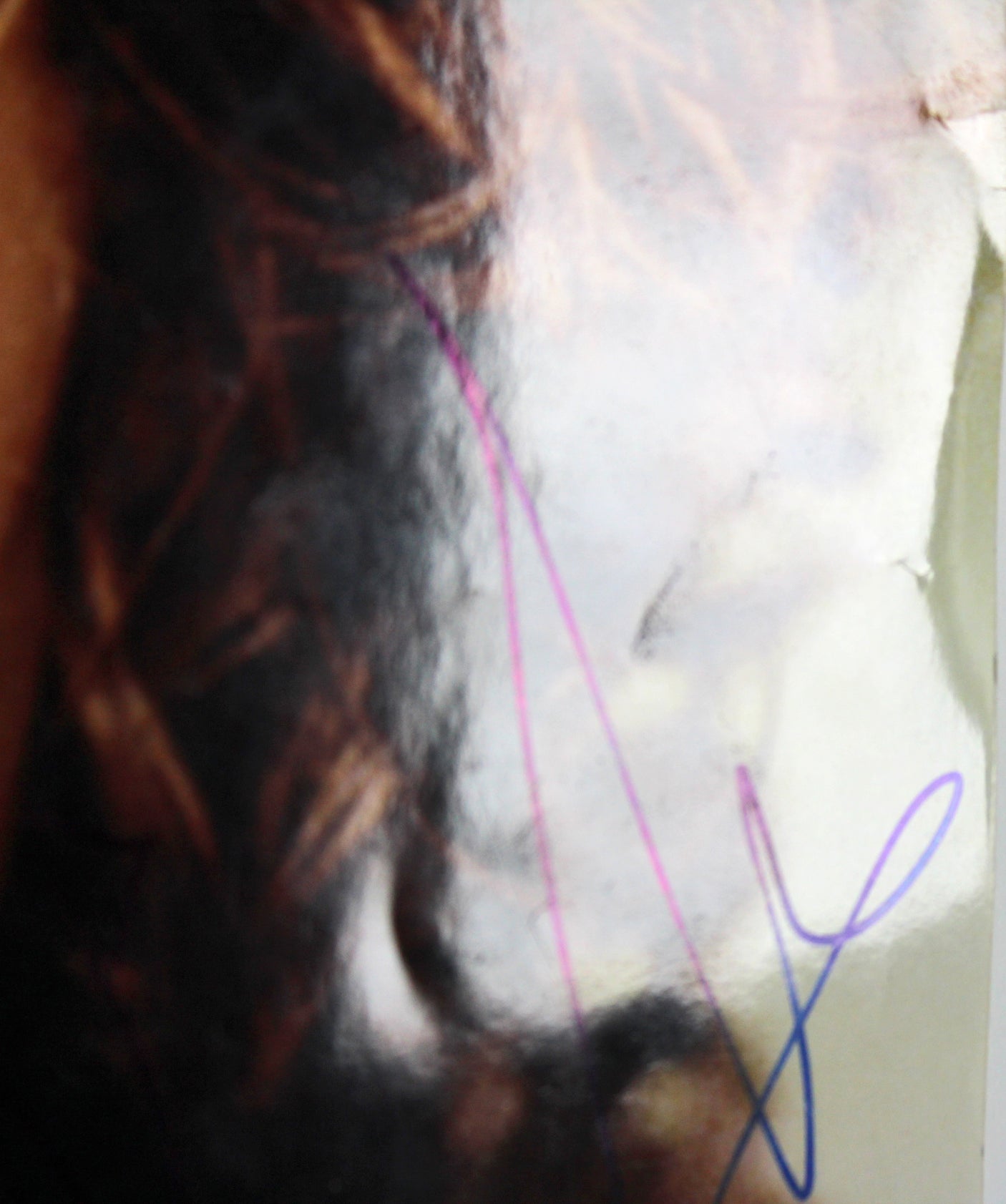 Antonio Banderas Desperado Authentic Signed 16x20 Photo Autographed PSA #J00775