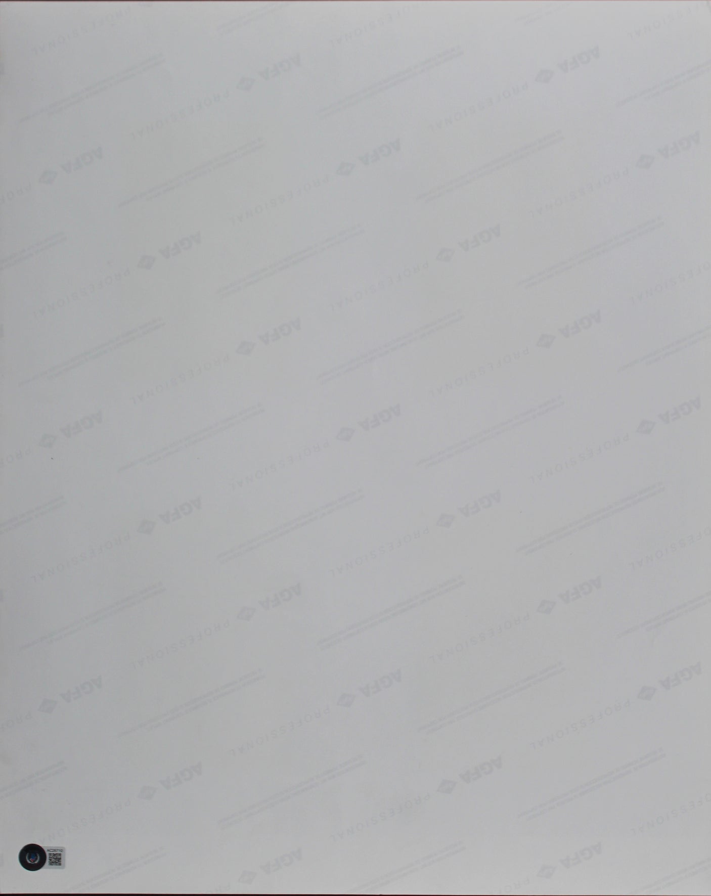 76ers Julius "Dr. J." Erving & Neal Leifer Signed 16x20 Photo LE #155/250 BAS