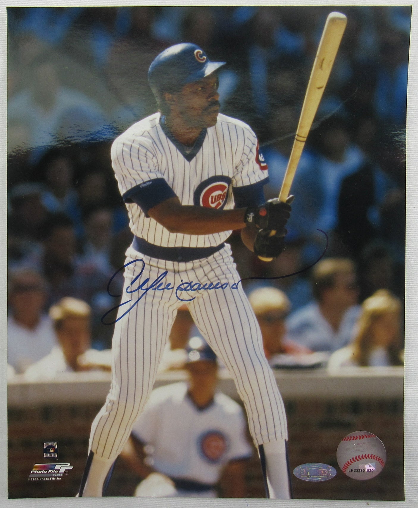 Andre Dawson Signed Auto Autograph 8x10 Photo Steiner COA