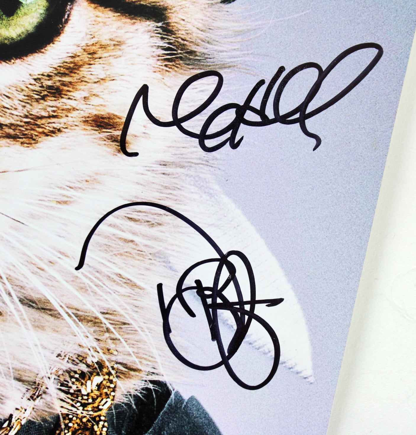 Keanu (4) Key, Neighbors, Britt-Gibson & Huebel Signed 12x18 Photo BAS #A75746