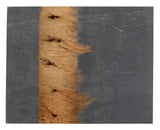 Lakers Magic Johnson Authentic Signed 8x10 Forum Floorboard PSA/DNA Itp #6A04955