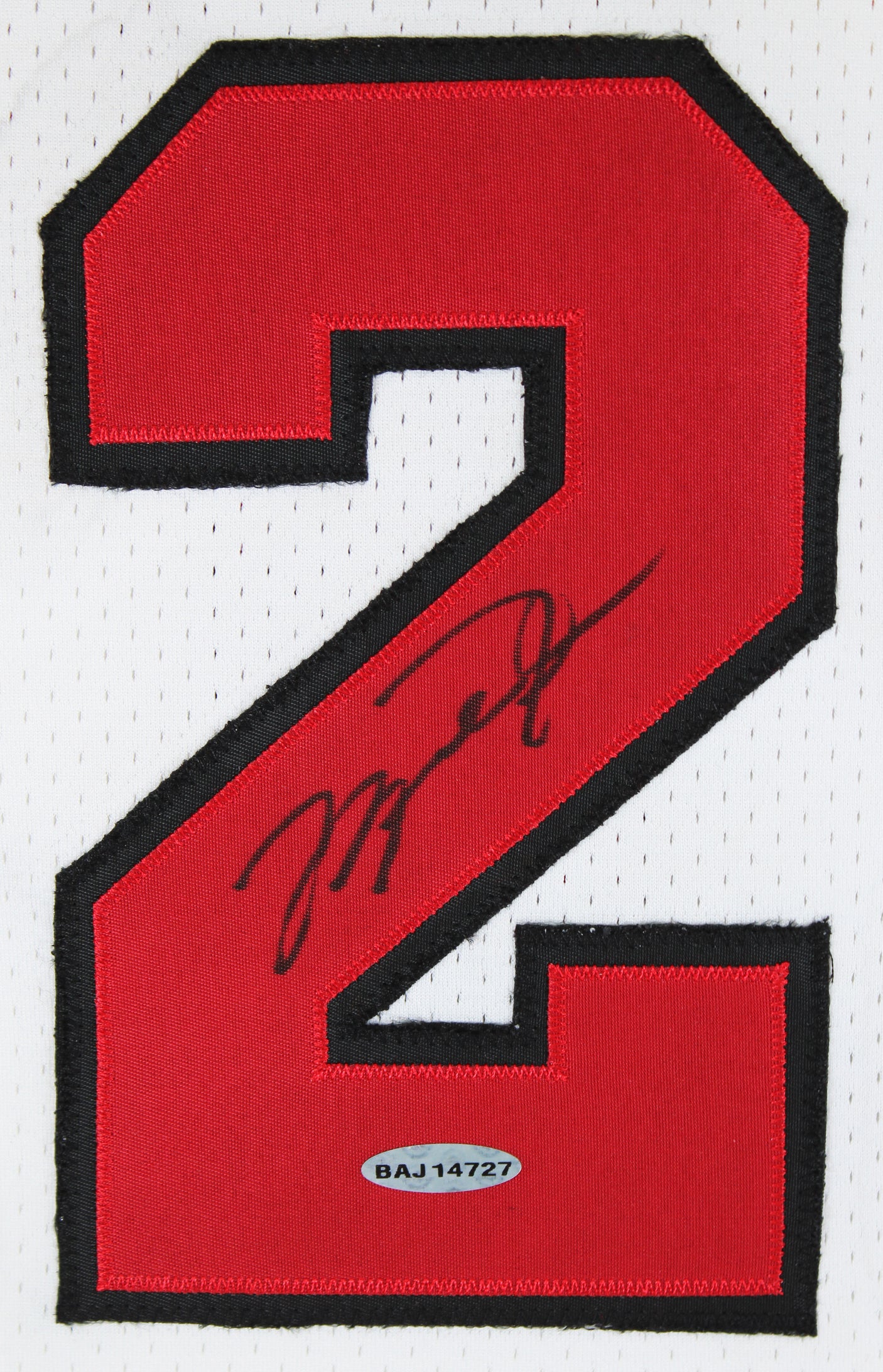 Bulls Michael Jordan Signed William Zavala Hand Painted M&N Framed Jersey UDA