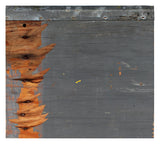 Lakers Magic Johnson Authentic Signed 8x10 Forum Floorboard PSA/DNA Itp #6A04952