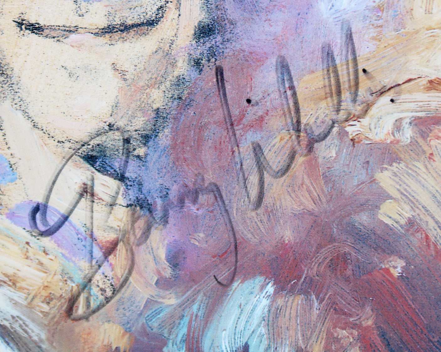 Brady Bunch McCormick, Williams +4 Signed & Framed 11x14 Litho LE #951/1000 PSA