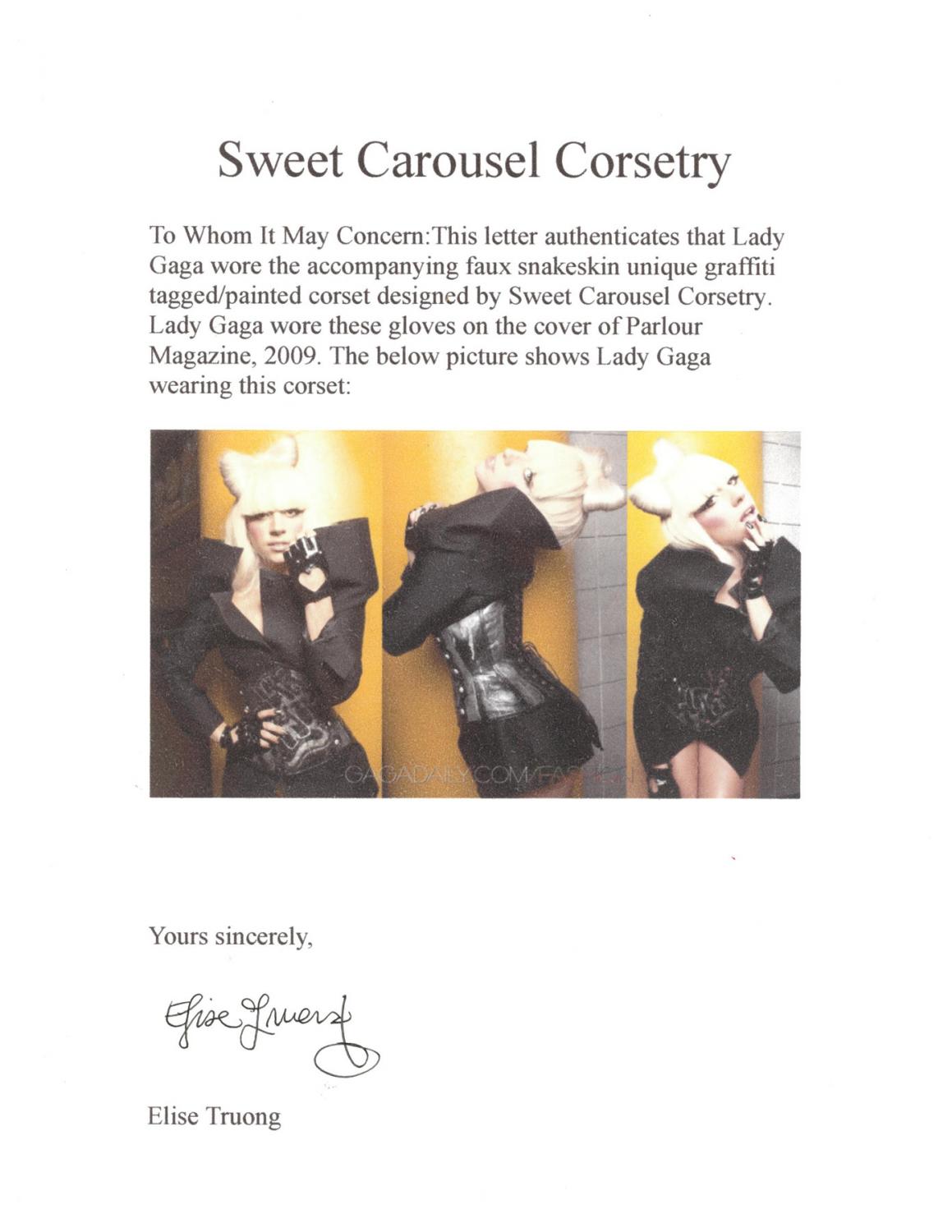 Lady Gaga Magazine Photoshoot Worn Faux Snake Skin Graffiti Style Corset