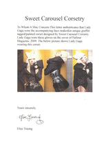 Lady Gaga Magazine Photoshoot Worn Faux Snake Skin Graffiti Style Corset