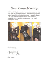Lady Gaga Magazine Photoshoot Worn Faux Snake Skin Graffiti Style Corset