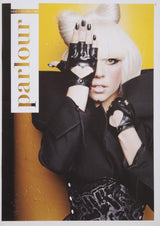 Lady Gaga Magazine Photoshoot Worn Faux Snake Skin Graffiti Style Corset