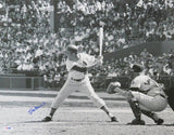 Stan Musial Signed Cardinals Batting B&W Action 16x20 Photo - (PSA/DNA)