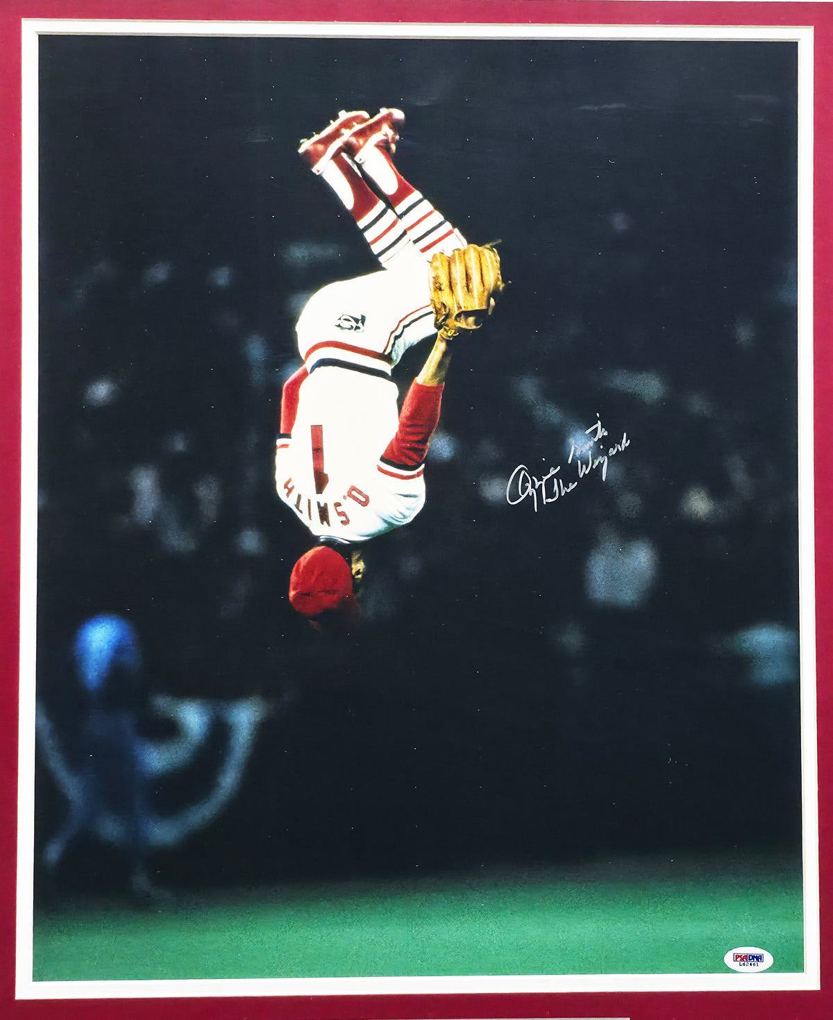 Ozzie Smith Autographed Framed 16x20 Photo St. Louis Cardinals "The Wizard" PSA/DNA #L62461