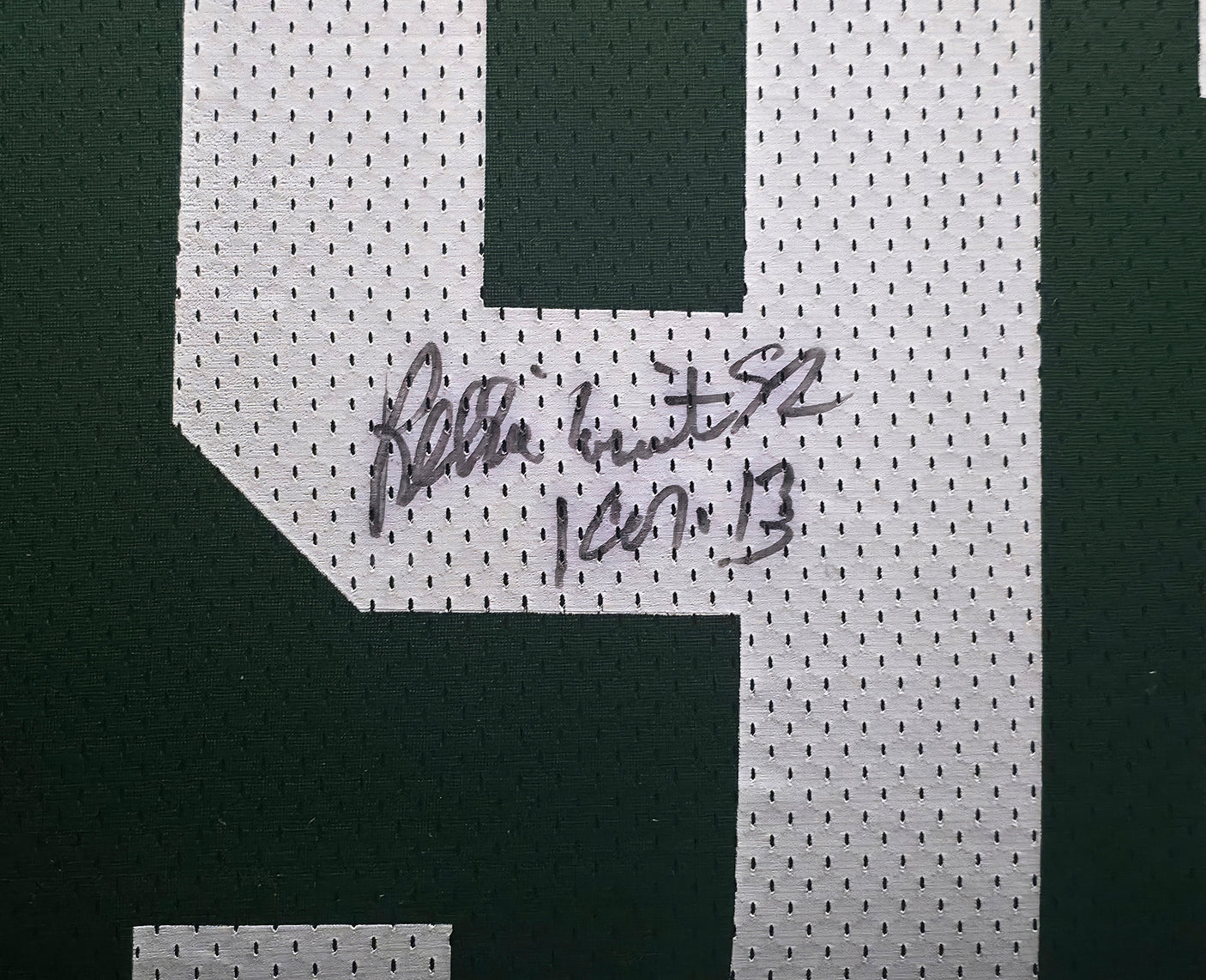 Green Bay Packers Reggie White Autographed Framed Green Nike Jersey Beckett BAS #AE19732