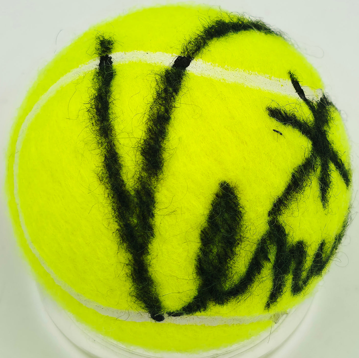 Venus Williams Autographed Wilson Tennis Ball PSA/DNA #L64866