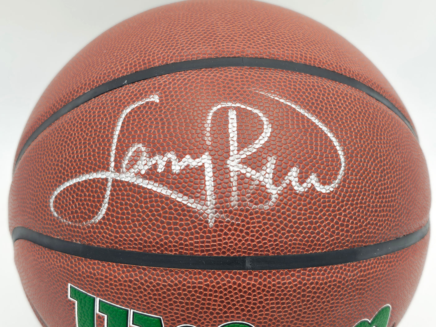 Larry Bird Autographed Wilson Leather Boston Celtics Logo Basketball PSA/DNA #4C25071