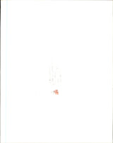 Floyd Mayweather Jr. Autographed 8x10 Photo PSA/DNA #D21584