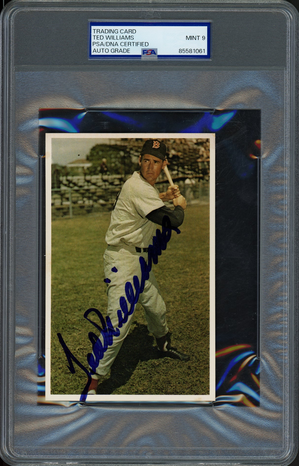Ted Williams Autographed 1982 TCMA Card Boston Red Sox Auto Grade Mint 9 PSA/DNA #85581061