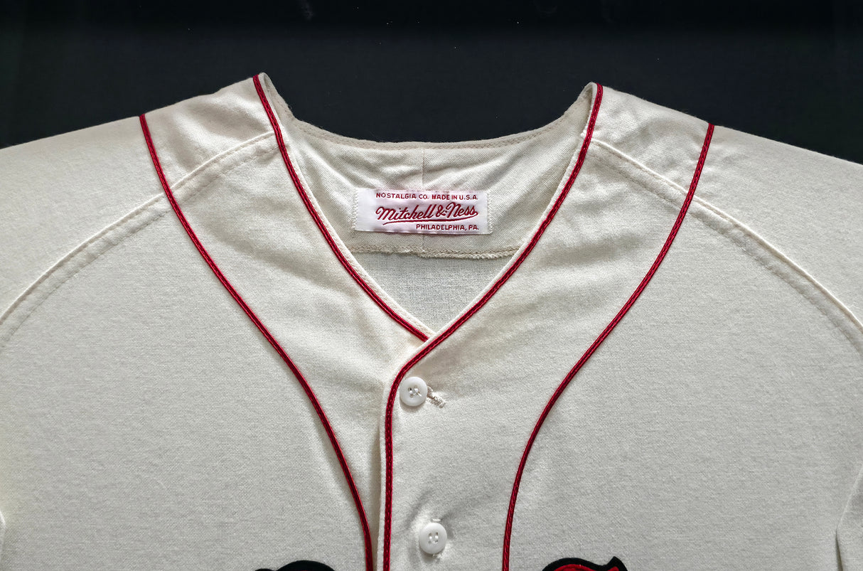 Boston Red Sox Ted Williams Autographed Framed Cream Mitchell & Ness Centennial Jersey PSA/DNA #AC09145