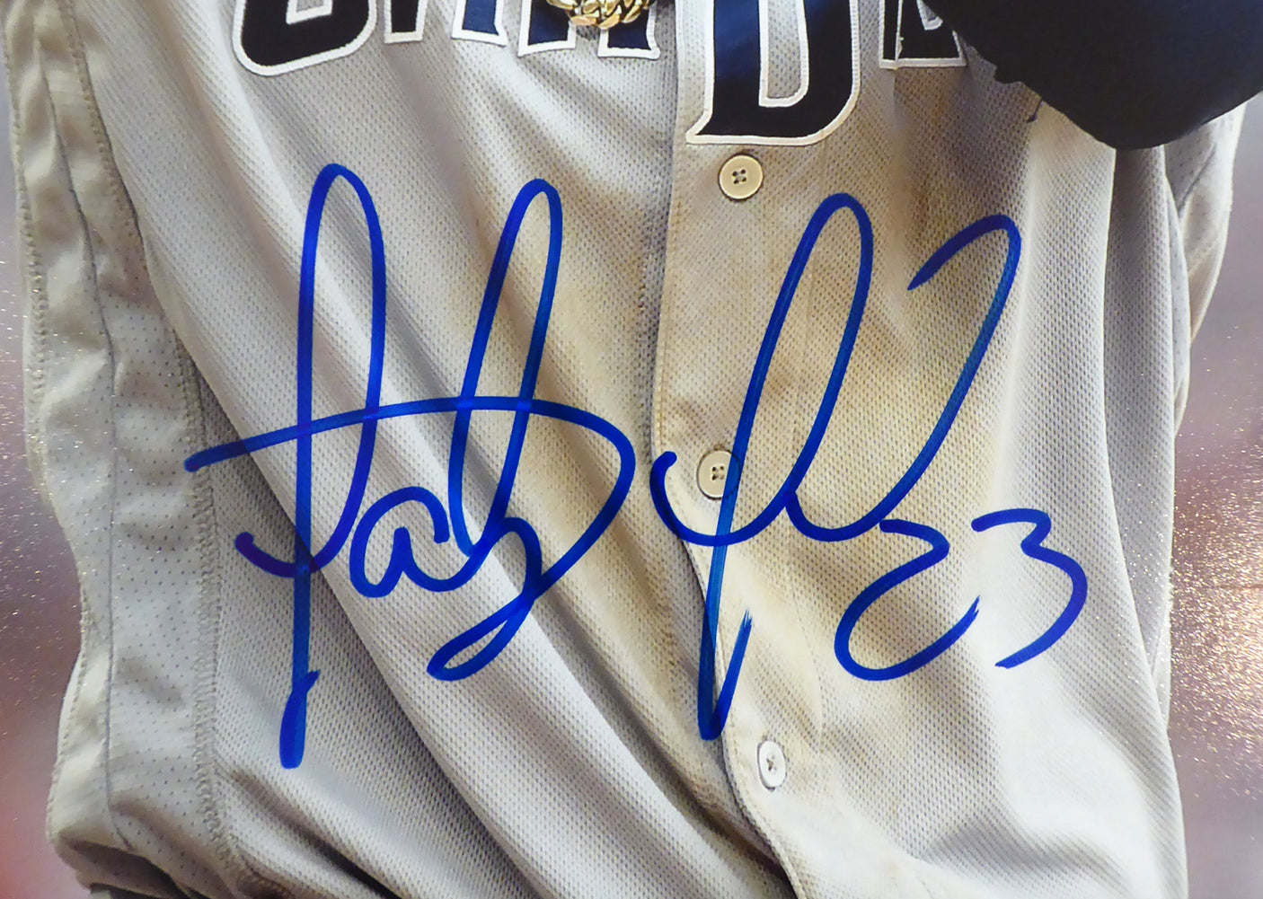 Fernando Tatis Jr. Autographed Framed 16x20 Photo San Diego Padres Beckett BAS Stock #197152