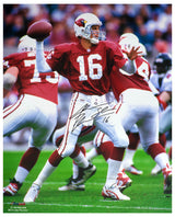 Jake Plummer Signed Arizona Cardinals Red Jersey Throwing Action 16x20 Photo w/Snake