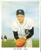 Detroit Tigers Autographed 13 Count Lot of 7x9 Team Issued Photos All Different With Joe Niekro SKU #236184