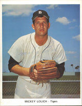 Detroit Tigers Autographed 13 Count Lot of 7x9 Team Issued Photos All Different With Joe Niekro SKU #236184