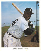 Detroit Tigers Autographed 13 Count Lot of 7x9 Team Issued Photos All Different With Joe Niekro SKU #236184