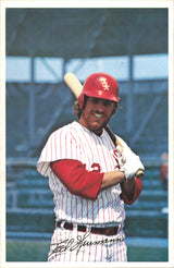 Chicago White Sox Autographed 19 Count Lot of 6x9 Team Issued Photos SKU #236197