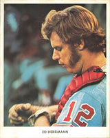 Chicago White Sox Autographed 17 Count Lot of 8x10 Team Issued Photos SKU #236199