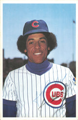 Chicago Cubs Autographed 10 Count Lot of 6x9 Team Issued Photos SKU #236200