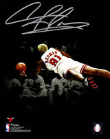Dennis Rodman Signed Chicago Bulls Diving Spotlight 8x10 Photo