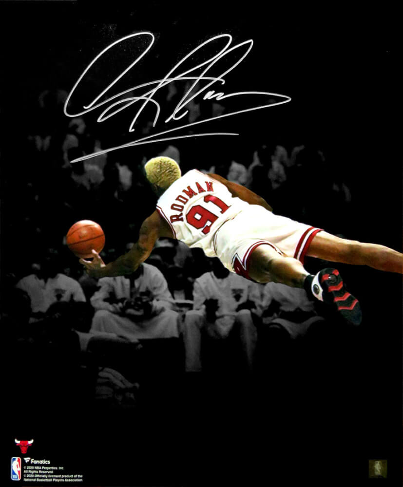 Dennis Rodman Signed Chicago Bulls Diving Spotlight 16x20 Photo