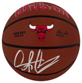 Dennis Rodman Signed Chicago Bulls Logo Wilson Alliance NBA Basketball