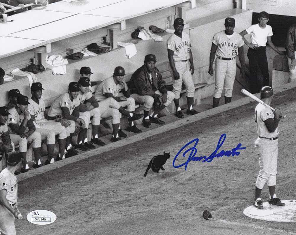 Ron Santo Signed Chicago Cubs Black Cat On Field B&W 8x10 Photo - (JSA)