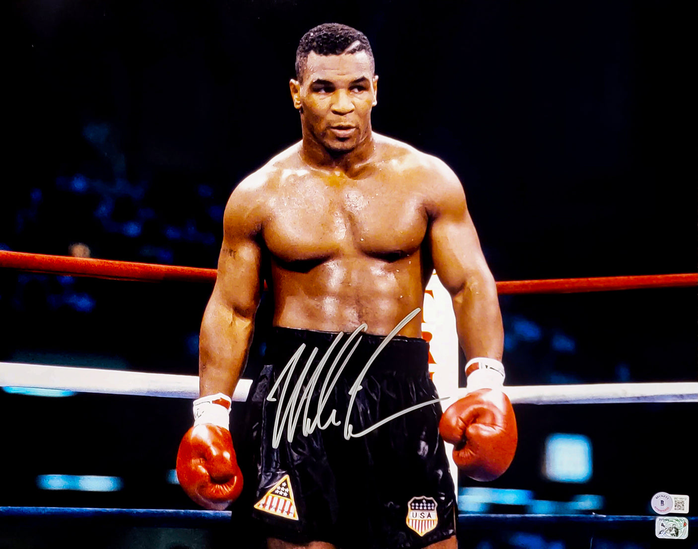 Mike Tyson Autographed Framed 16x20 Photo Posing Beckett BAS QR Stock #254252