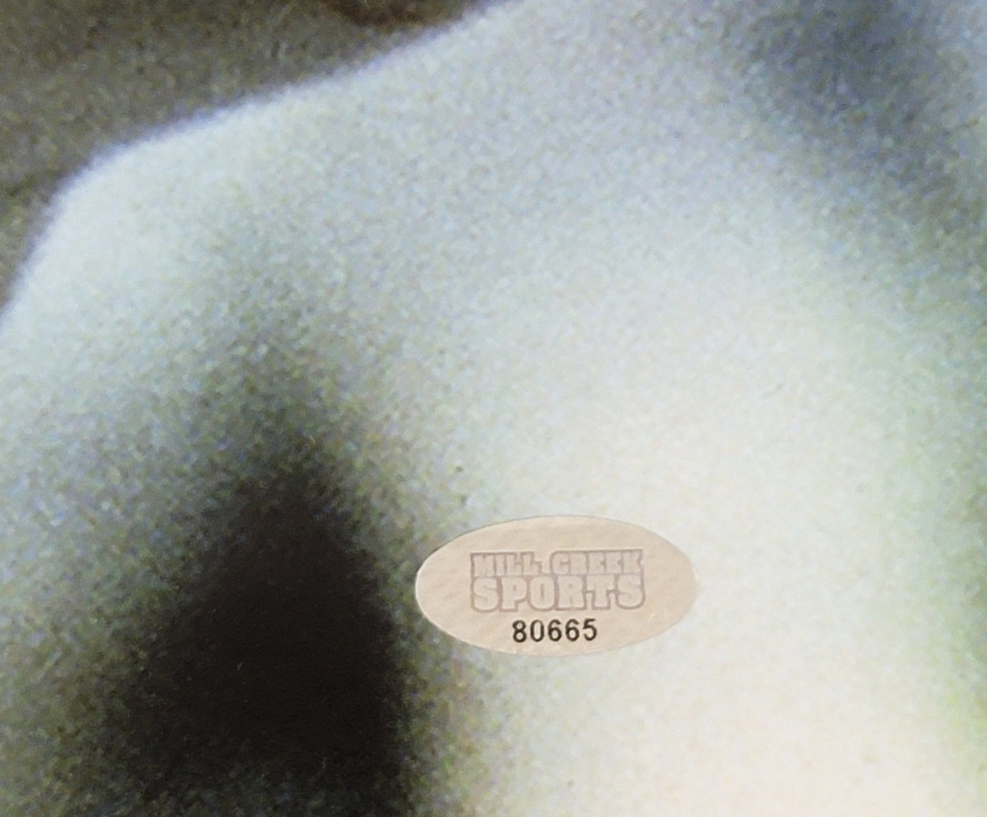 Steve Largent Autographed Framed 16x20 Photo Seattle Seahawks "HOF 95" MCS Holo Stock #254261