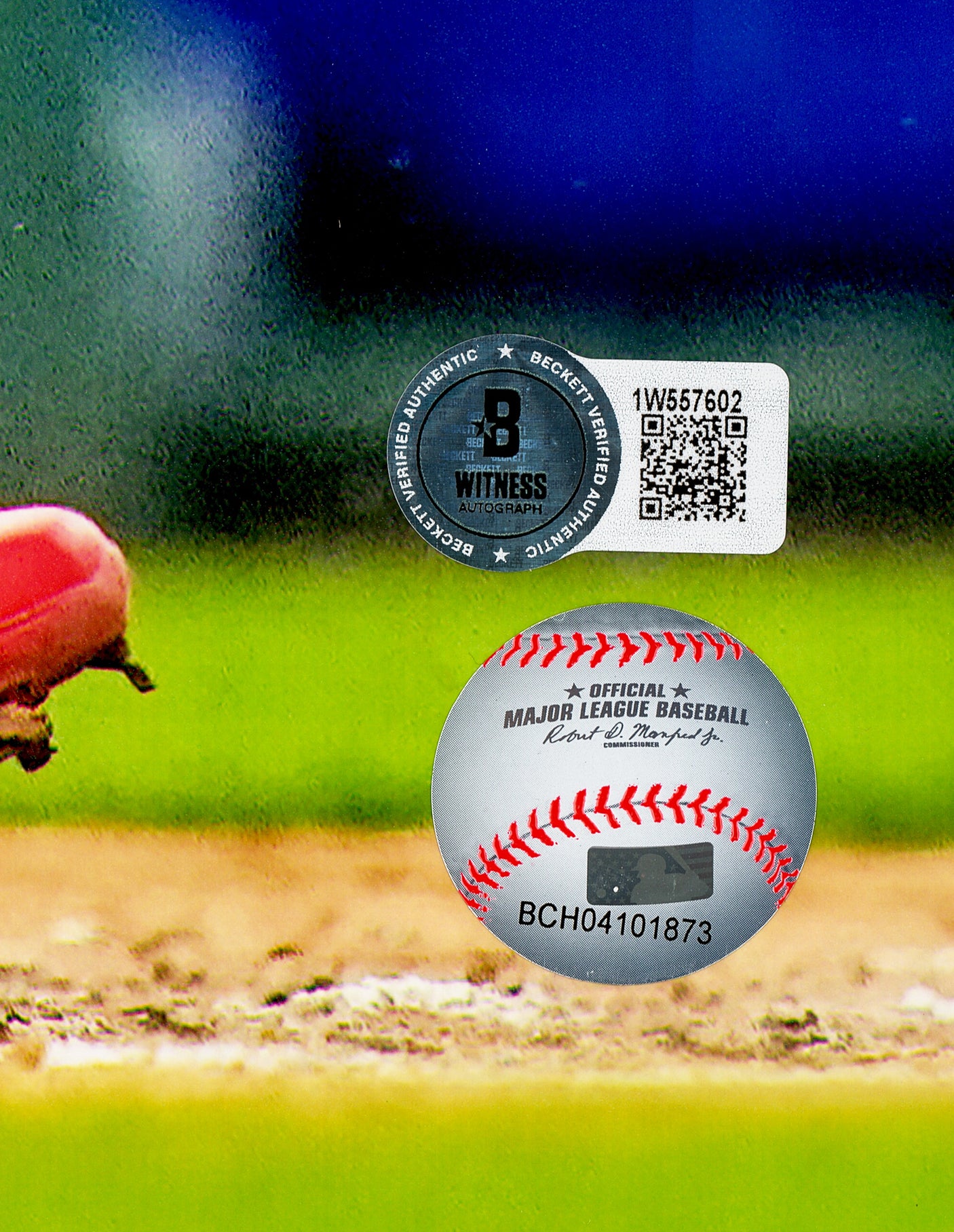 Elly De La Cruz Autographed Framed 16x20 Photo Cincinnati Reds Beckett BAS Witness Stock #256673