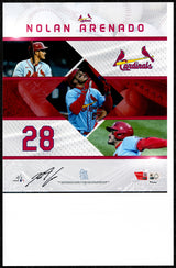 Nolan Arenado Autographed 11x17 Photo St. Louis Cardinals LE #/5 Fanatics & MLB Holo Stock #263011