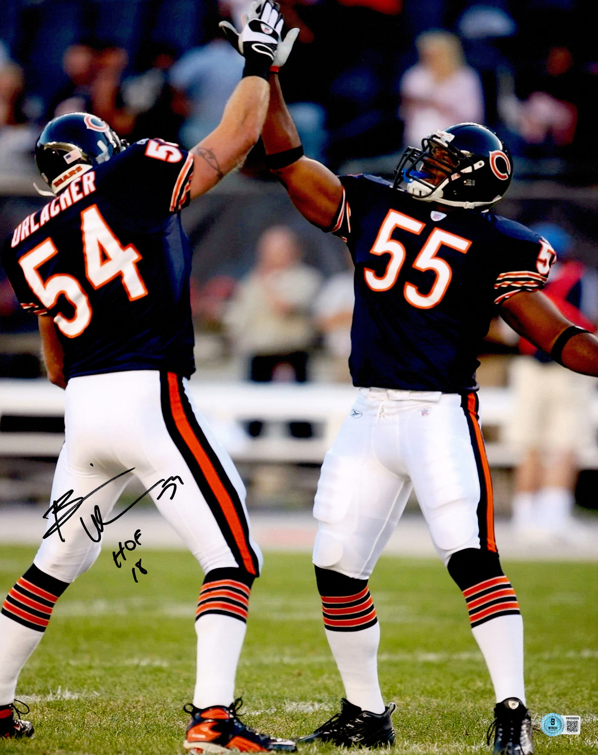 Brian Urlacher Autographed 16x20 Photo Chicago Bears "HOF 18" Beckett BAS Witness Stock #265853