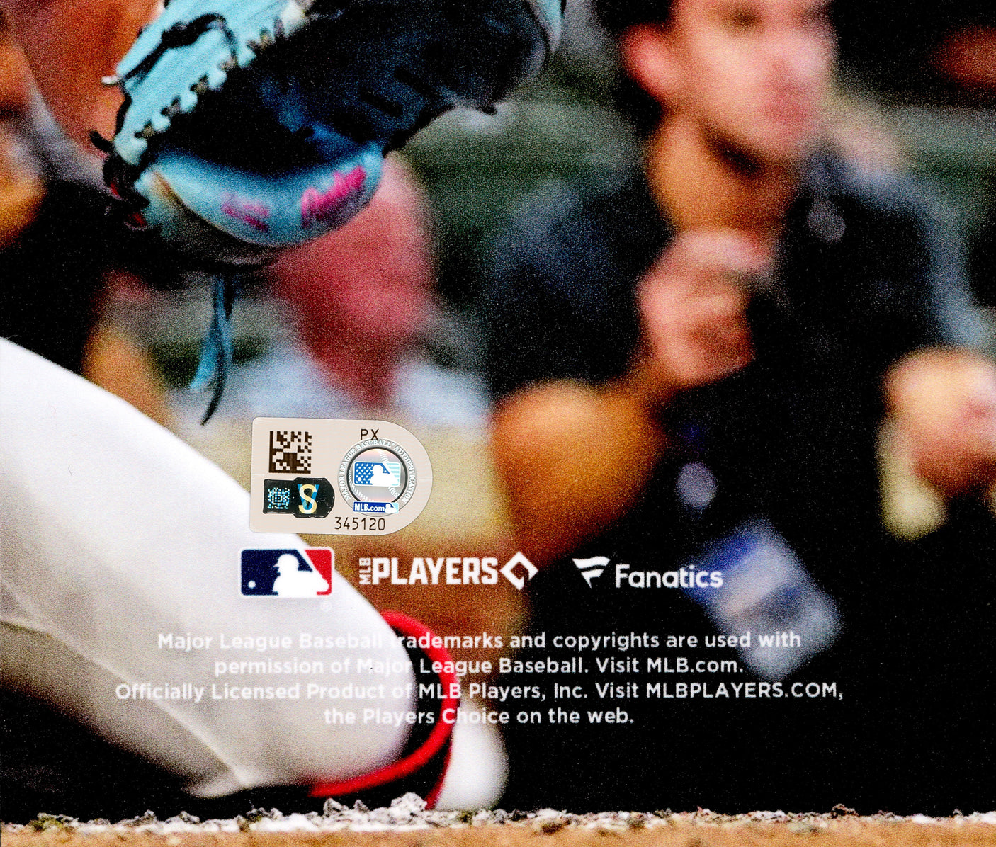 Cal Raleigh Autographed 16x20 Photo Seattle Mariners Fanatics & MLB Holo Stock #253259