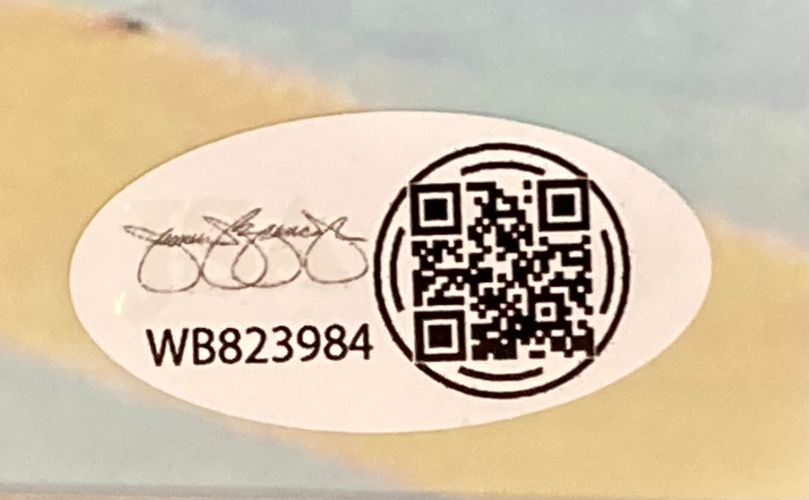 The Sports Integrity oval white sticker with QR code, stylized signature above three loops, and WB823984 is affixed to the Bo Nickal Signed Framed 8x10 UFC Choke Photo (JSA ITP) on a colored blurry background.