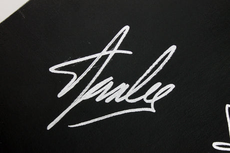 Stan Lee Authentic Signed 16x20 Canvas w/ Spider-man Sketch PSA/DNA #W00378