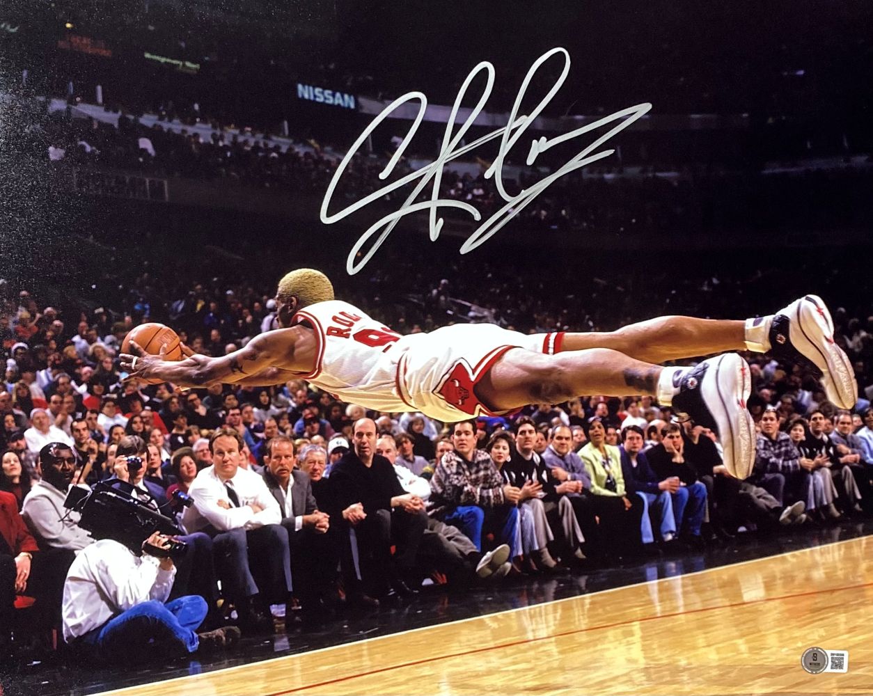 Dennis Rodman, in a white and red Chicago Bulls uniform, dives to save the ball in this signed 16x20 photo from Sports Integrity, with spectators watching. His signature is clearly visible at the top of the image.
