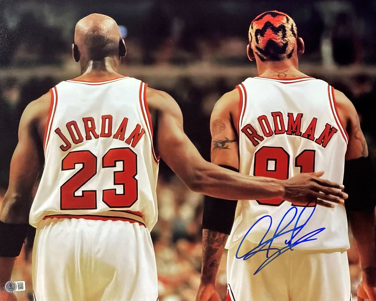 Dennis Rodman Signed 16x20 Chicago Bulls Photo w/ Michael Jordan BAS