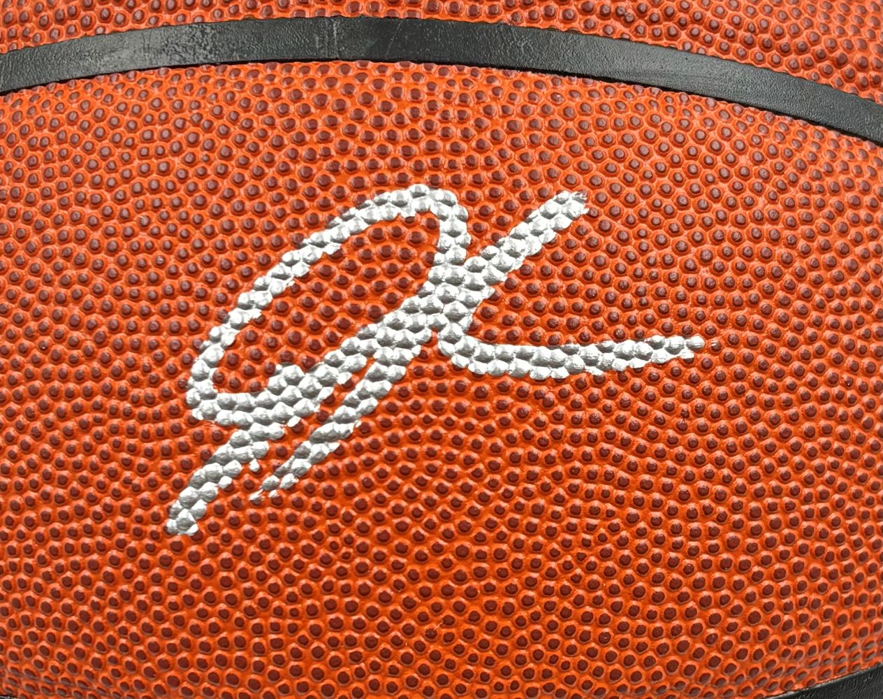 Giannis Antetokounmpo Bucks Signed NBA Wilson I/O Basketball BAS w/ Case