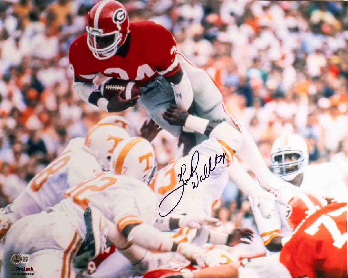 Herschel Walker Signed 16x20 Georgia Bulldogs Photo BAS