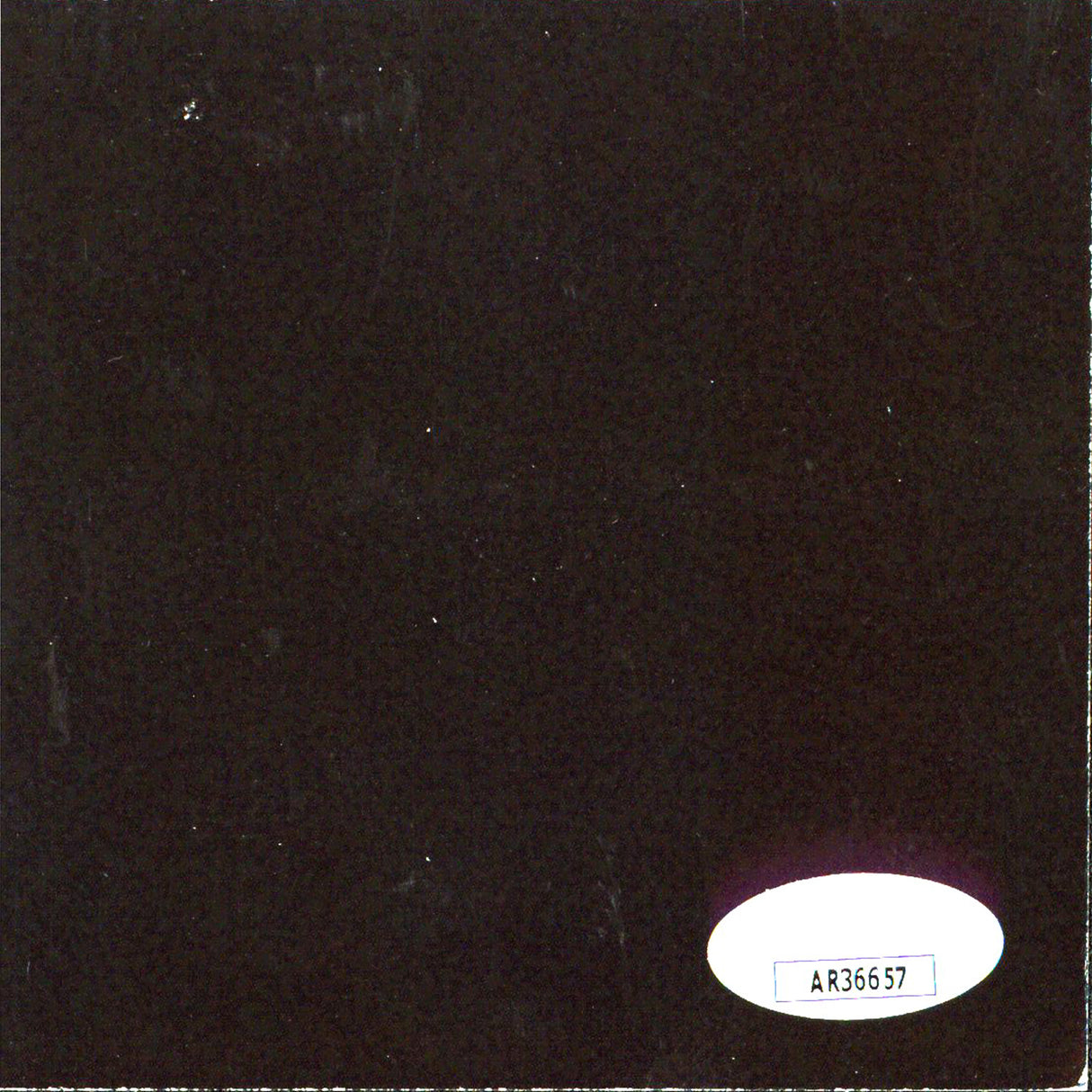 The Weekend Authentic Signed Hurry Up Tomorrow CD Insert JSA #AR36657