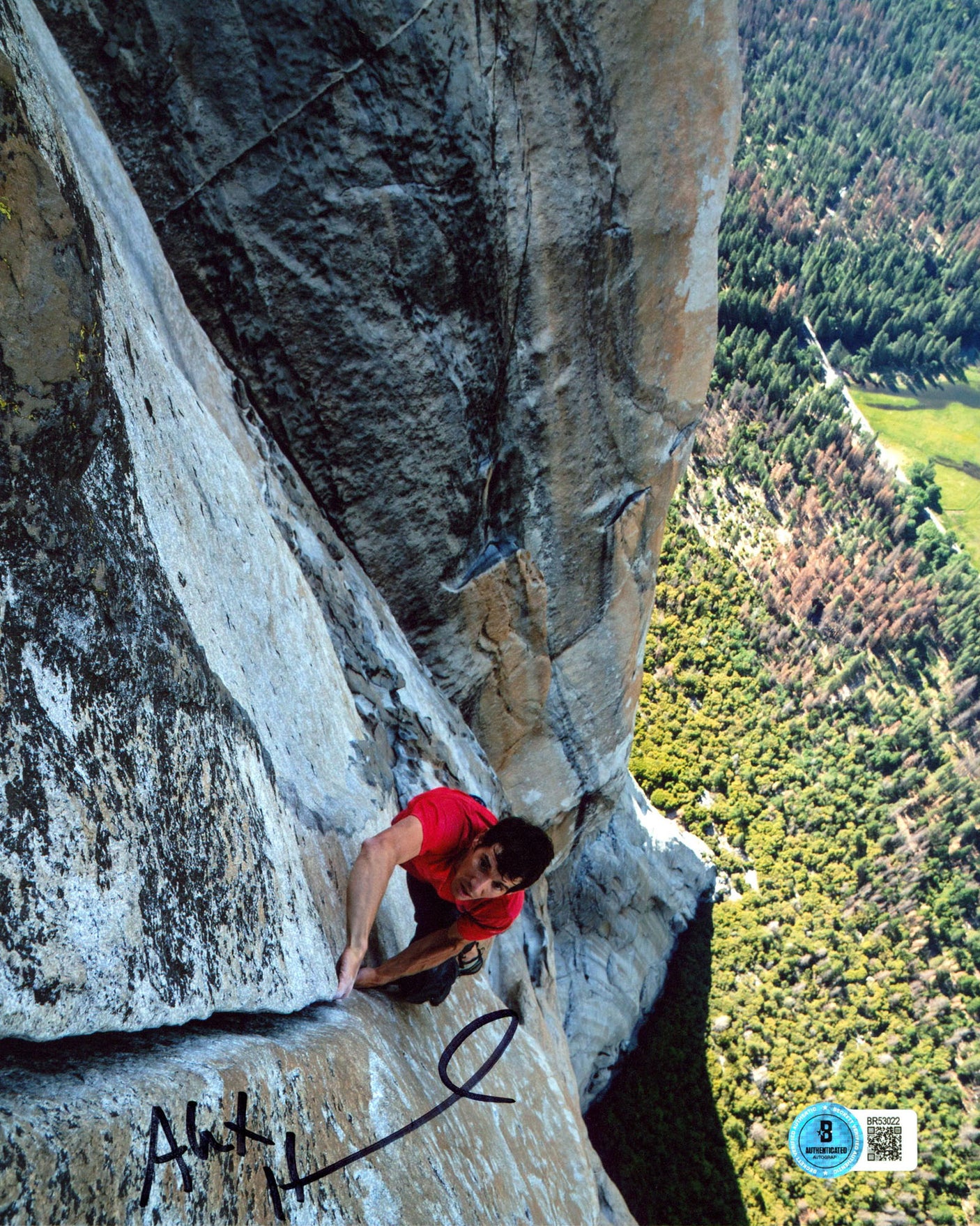 Alex Honnold Authentic Signed 8x10 Vertical Photo Autographed BAS 2