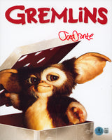 Joe Dante Gremlins Authentic Signed 8x10 Vertical Photo Autographed BAS 13