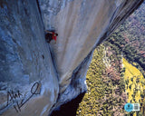 Alex Honnold Authentic Signed 8x10 Horizontal Photo Autographed BAS 5